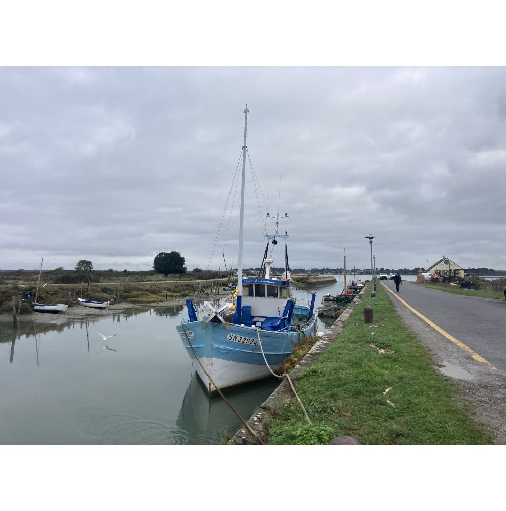 Bateau de pêche ou commerce à vendre