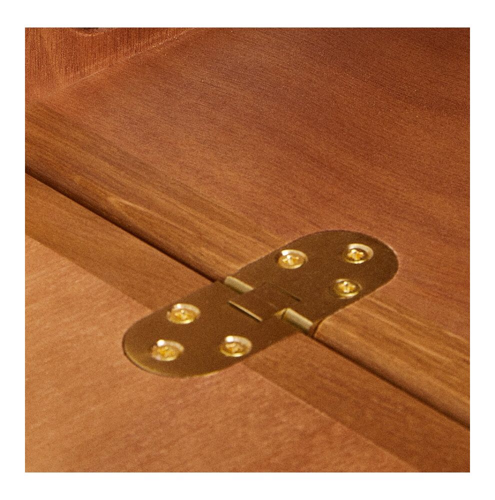 Counter flap brass hinge