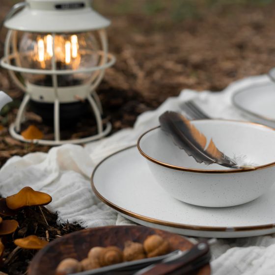 2 speckled white enamel soup plates