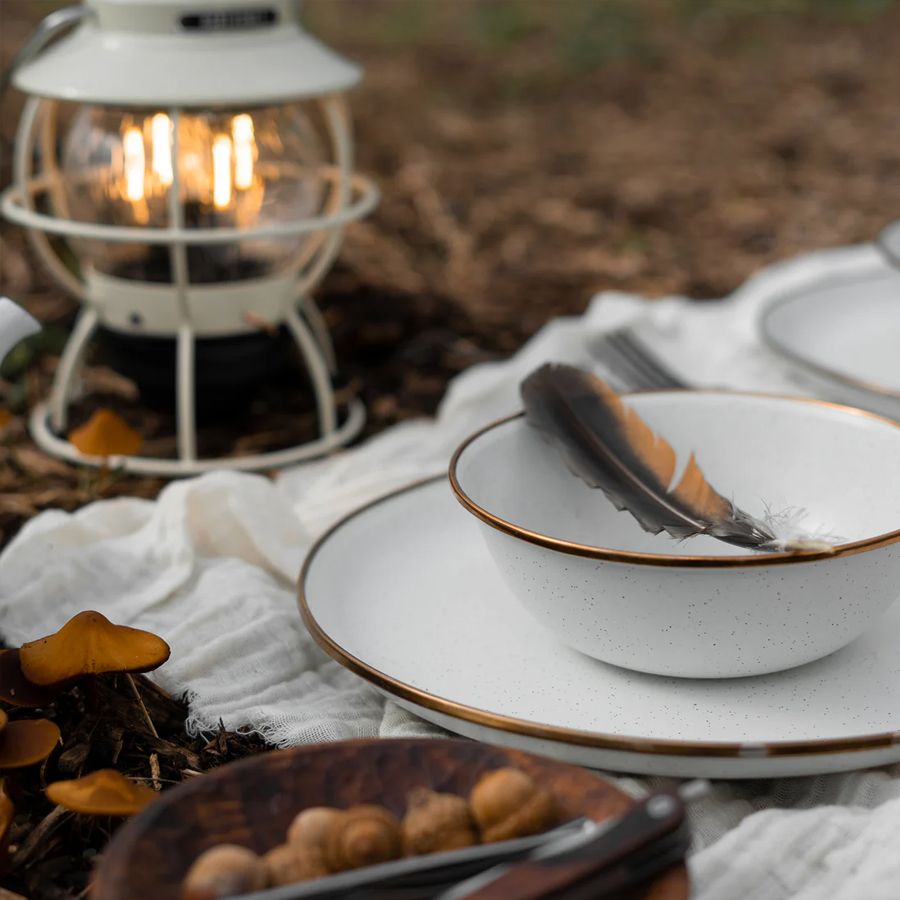 2 assiettes creuses en émail blanc mouchetée